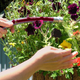 Illustration for article titled Assuming Your State Still Has Water, Here's a Great Garden Hose Deal